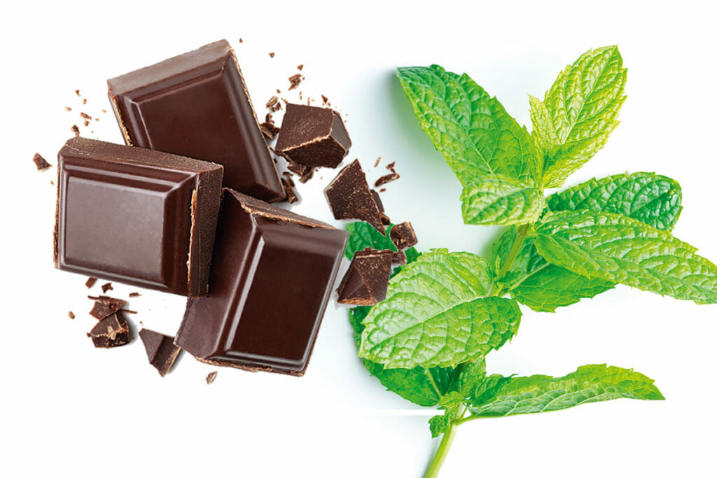 Recette de la glace chocolat menthe healthy – Docdusport